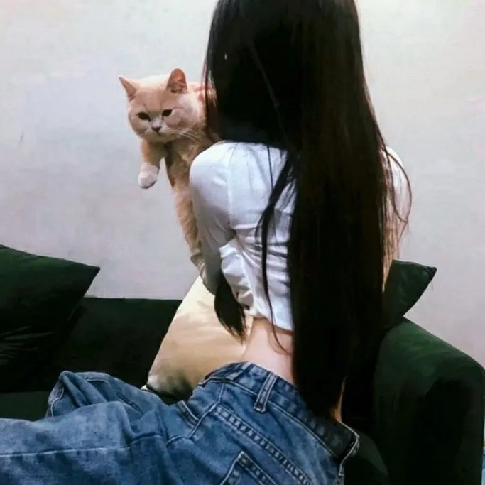 肖申克的救赎